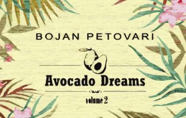 Mladi Valpovčanin Bojan Petovari objavio drugi EP “Avocado Dreams vol. 2”