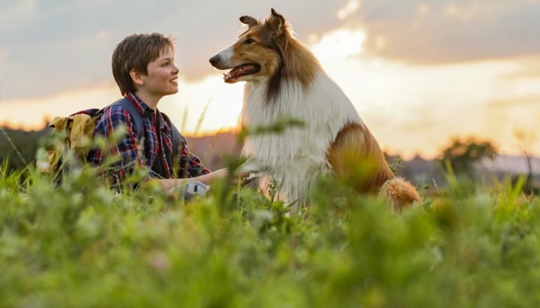 Najpoznatiji pas na svijetu, Lassie, se vraća kući i u kina!