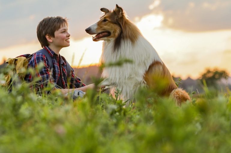 Najpoznatiji pas na svijetu, Lassie, se vraća kući i u kina!