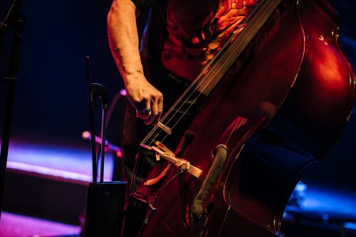 Buzzo  Dunn-221024-fotoSanjaMatic-16