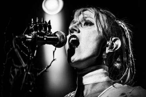 Crimson_Veil_Davor_Birt_09