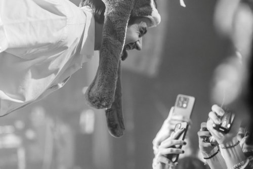 Joker Out - zg crnjak-6