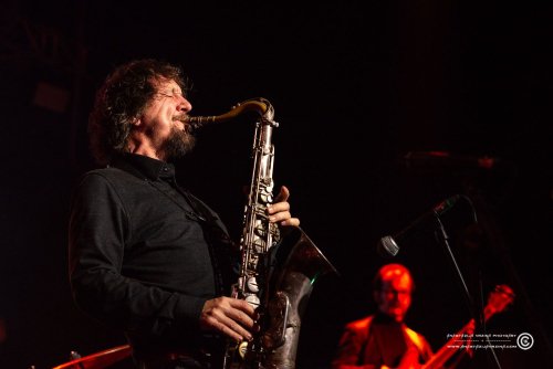 Mangroove_07112025_AnastazijaVrzina-3965