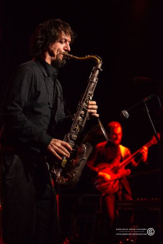 Mangroove_07112025_AnastazijaVrzina-3967