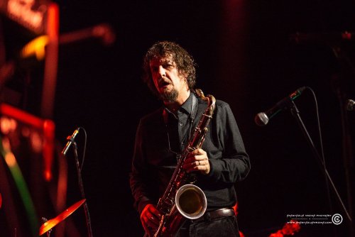 Mangroove_07112025_AnastazijaVrzina-3988