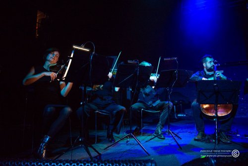 Mangroove_07112025_AnastazijaVrzina-4028