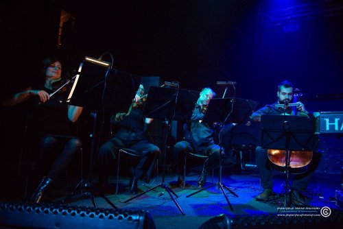 Mangroove_07112025_AnastazijaVrzina-4050