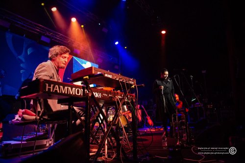 Mangroove_07112025_AnastazijaVrzina-4129