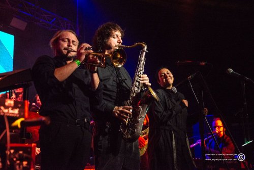 Mangroove_07112025_AnastazijaVrzina-4149