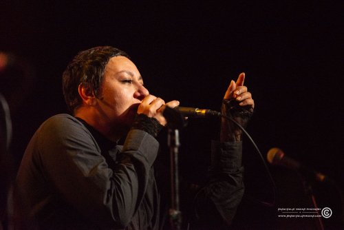 Mangroove_07112025_AnastazijaVrzina-4195