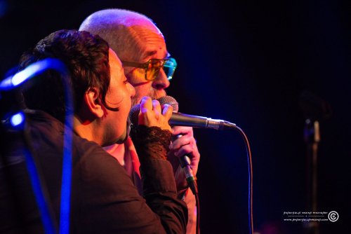 Mangroove_07112025_AnastazijaVrzina-4262