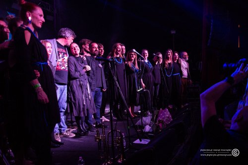 Mangroove_07112025_AnastazijaVrzina-4349