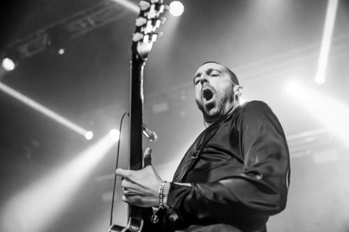 Miles Kane-zg crnjak-2