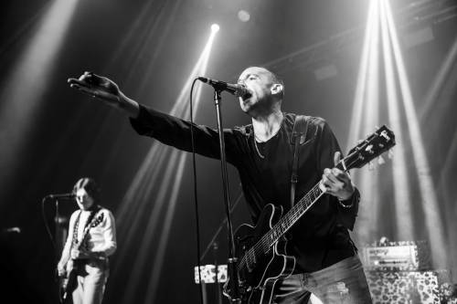 Miles Kane-zg crnjak-6