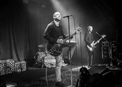 Miles Kane-zg crnjak-7