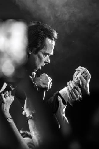 NickCave_MuhamedTalic-16