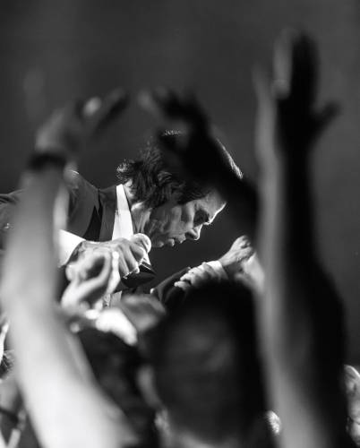 NickCave_MuhamedTalic-18