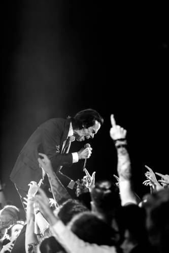 NickCave_MuhamedTalic-22