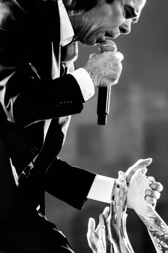 NickCave_MuhamedTalic-25