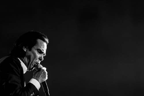 NickCave_MuhamedTalic-29