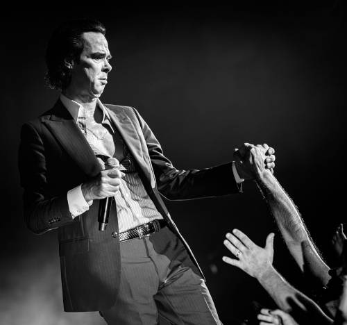 NickCave_MuhamedTalic-39