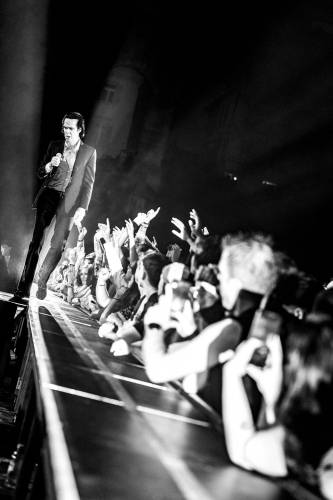 NickCave_MuhamedTalic-54