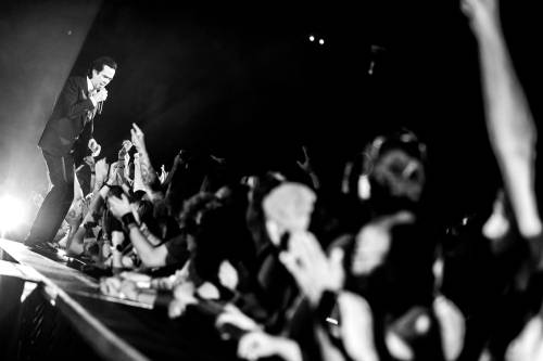 NickCave_MuhamedTalic-57