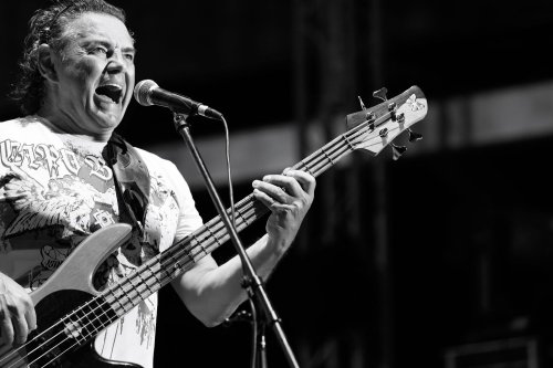 PlaviOrkestar_MuhamedTalic-35