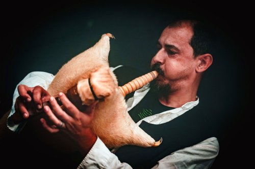 Po_Metra_Crijeva_Davor_Birt_15