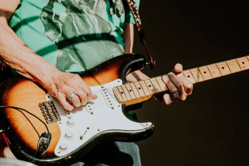 RonnieWood_NikolaKnezevic_web-54
