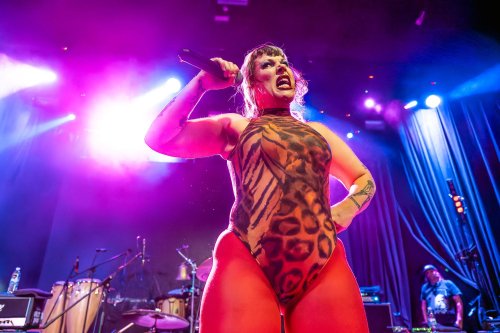 Split Dogs - zg_crnjak-6