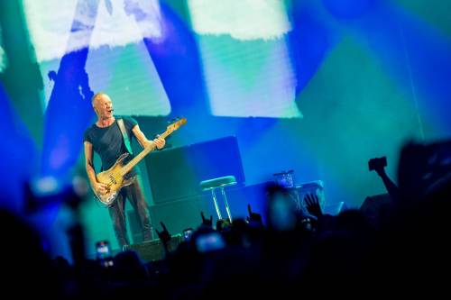 Sting_MuhamedTalic-2