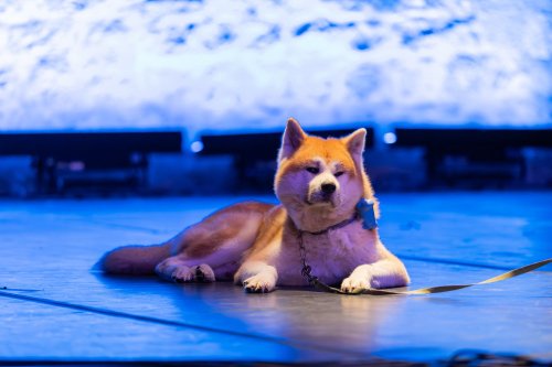 ibrica-jusic_kmd_22102025_vlevi-0792